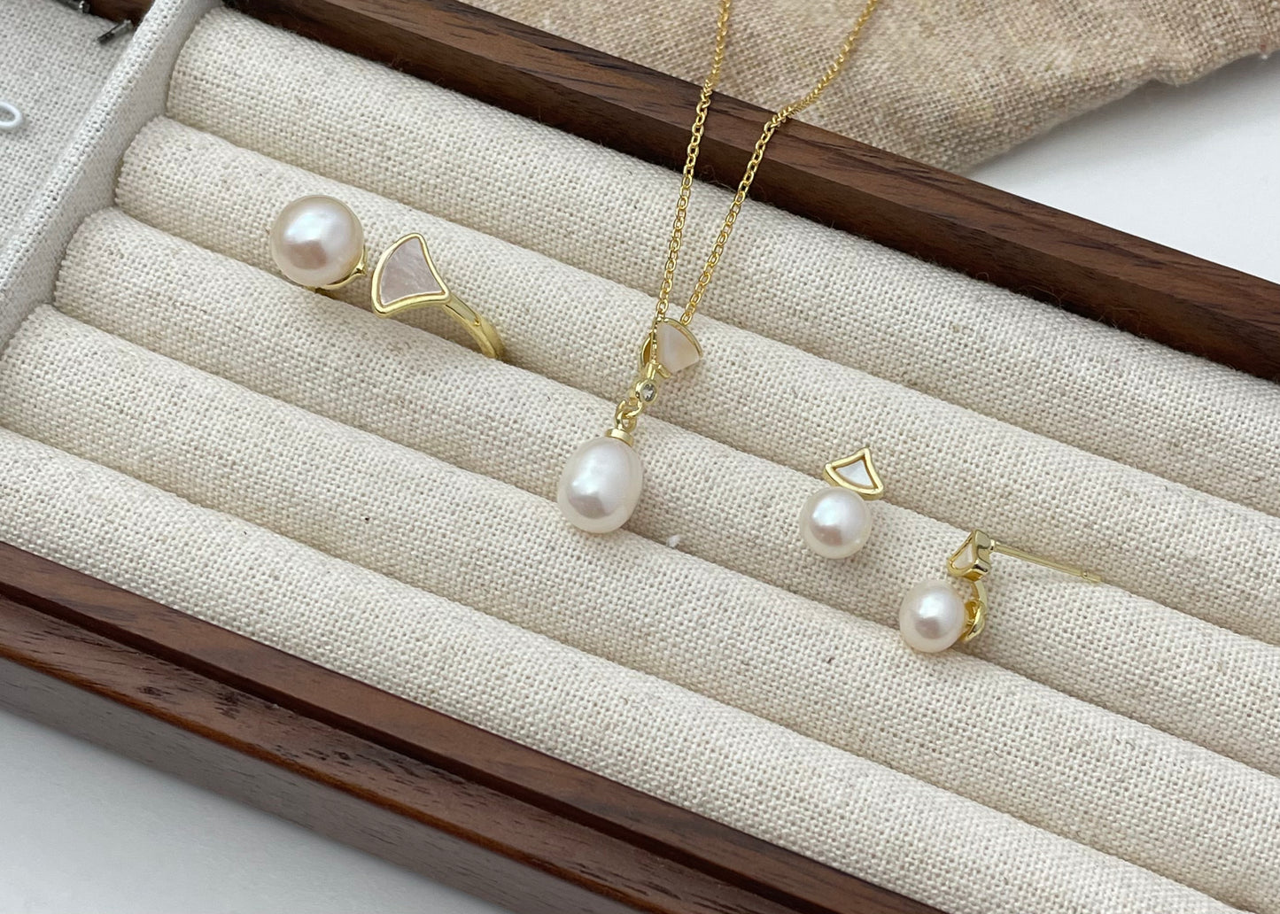 Set 1 | The mini shell set