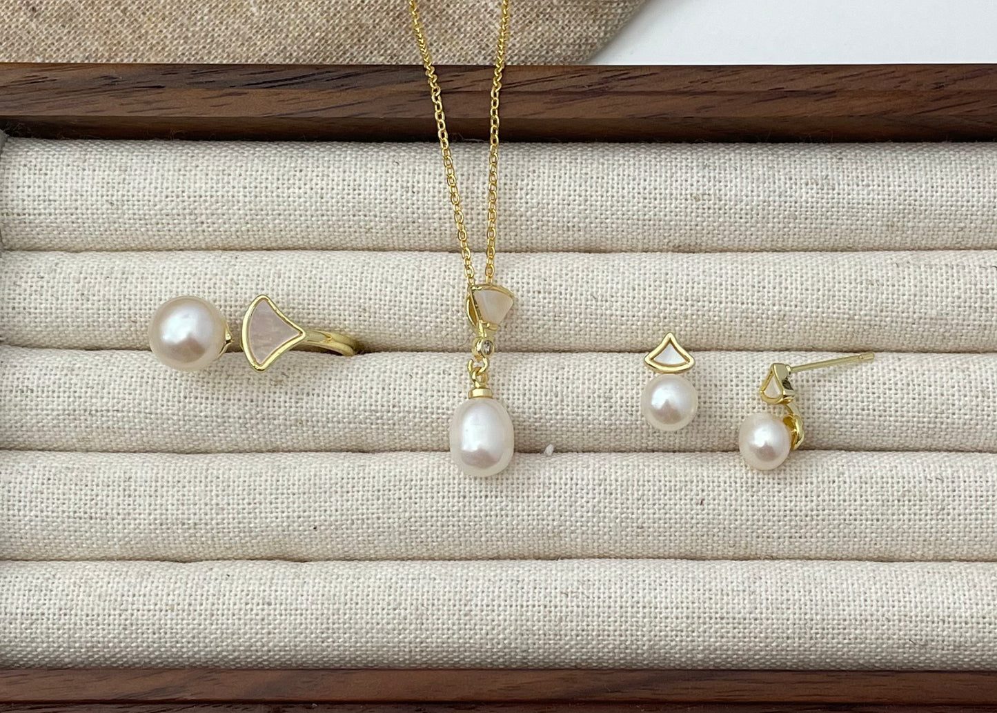 Set 1 | The mini shell set